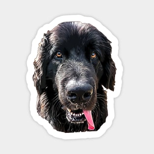 Newfoundland Bright Beauty Sticker